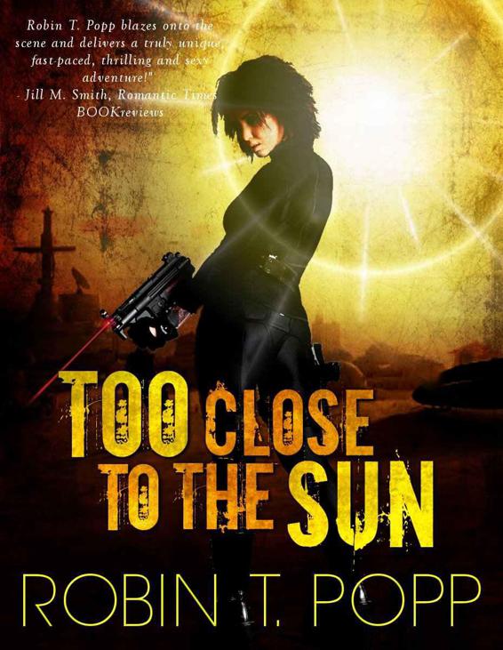 Too Close to the Sun (The Sun 1) by Popp, Robin T.