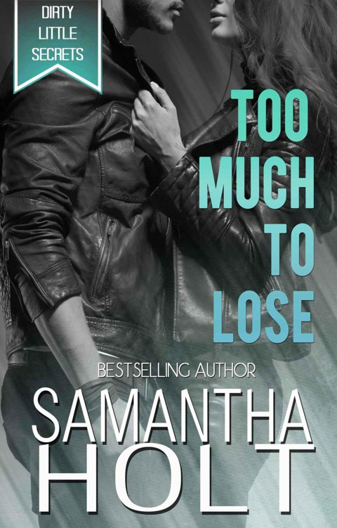 Too Much to Lose by Holt, Samantha