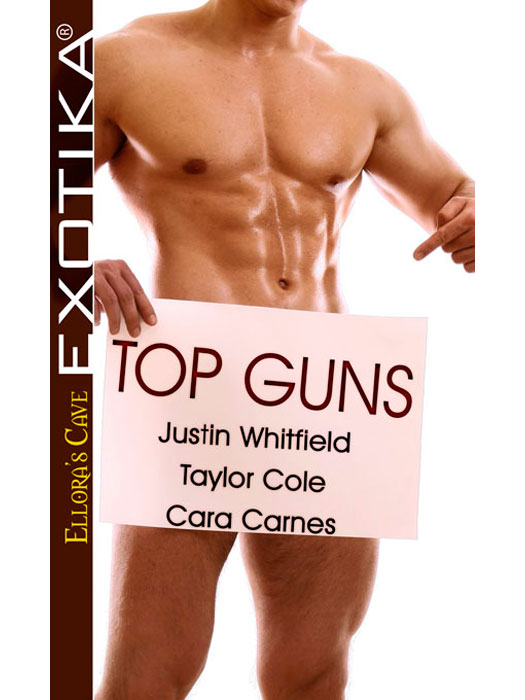 TopGuns (2013) by Justin Whitfield, Taylor Cole, Cara Carnes