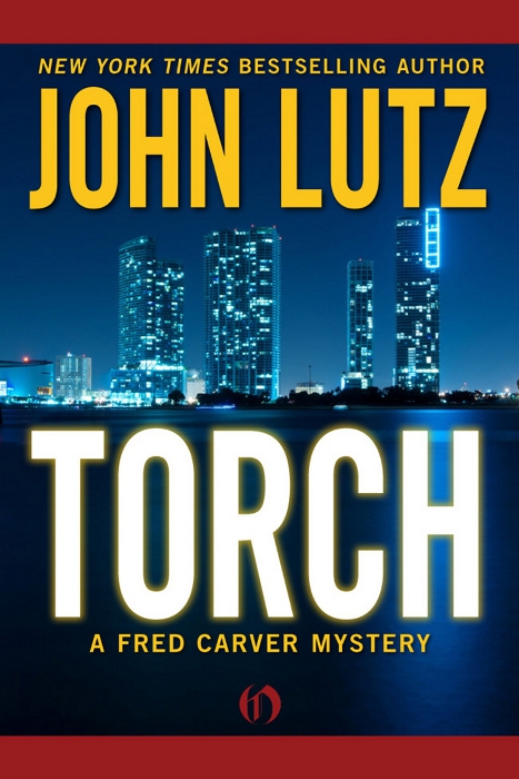 Torch by John Lutz