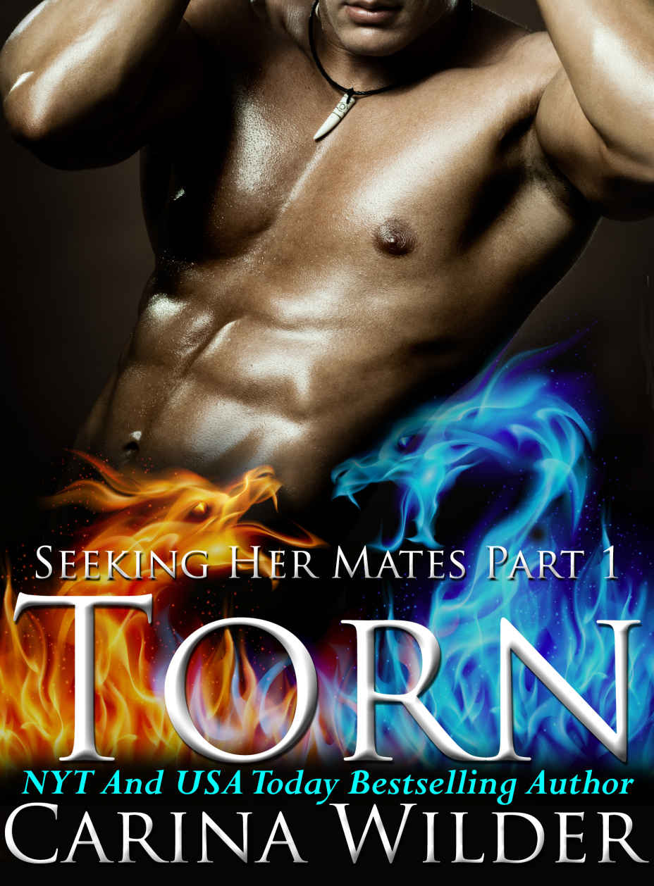 Torn: A Dragon Shifter BBW Menage Serial (Seeking Her Mates Book 1) by Carina Wilder