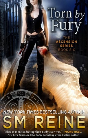 Torn by Fury (2014) by S.M. Reine