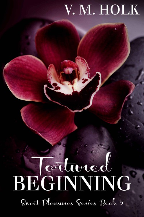 Tortured Beginning by V. M. Holk