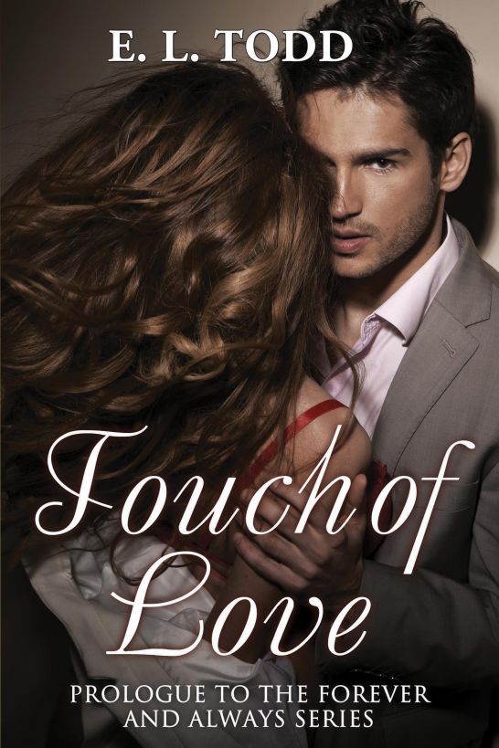 Touch of Love by E. L. Todd