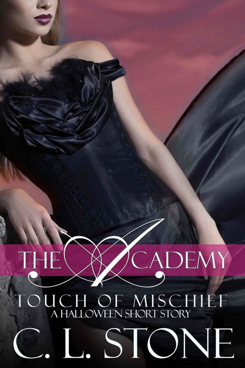 Touch of Mischief 7.5 by C.L. Stone