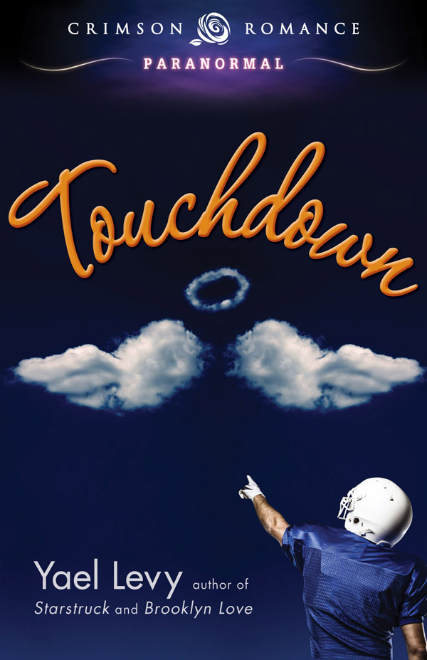 Touchdown (2013) by Yael Levy