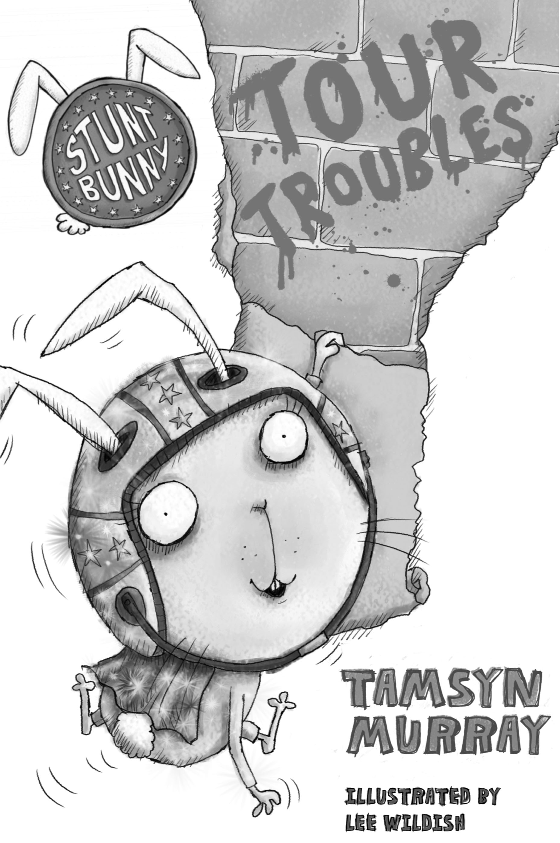 Tour Troubles by Tamsyn Murray