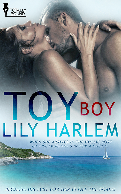 Toy Boy (2015) by Lily Harlem