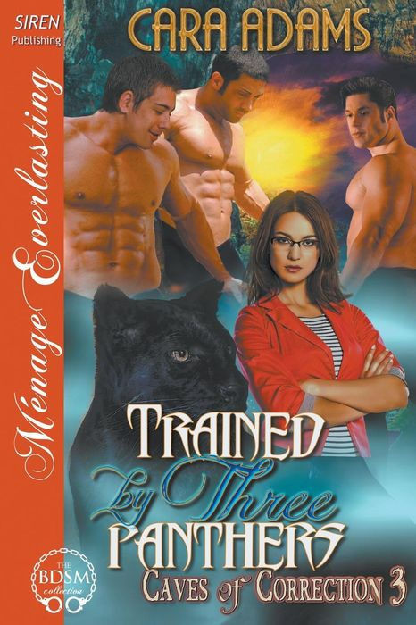 Trained by Three Panthers [Caves of Correction 3] by Cara Adams