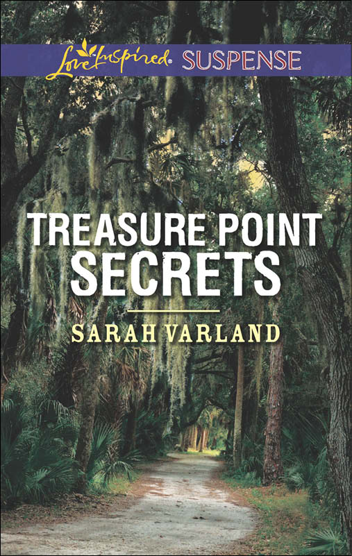 Treasure Point Secrets (2014) by Sarah Varland
