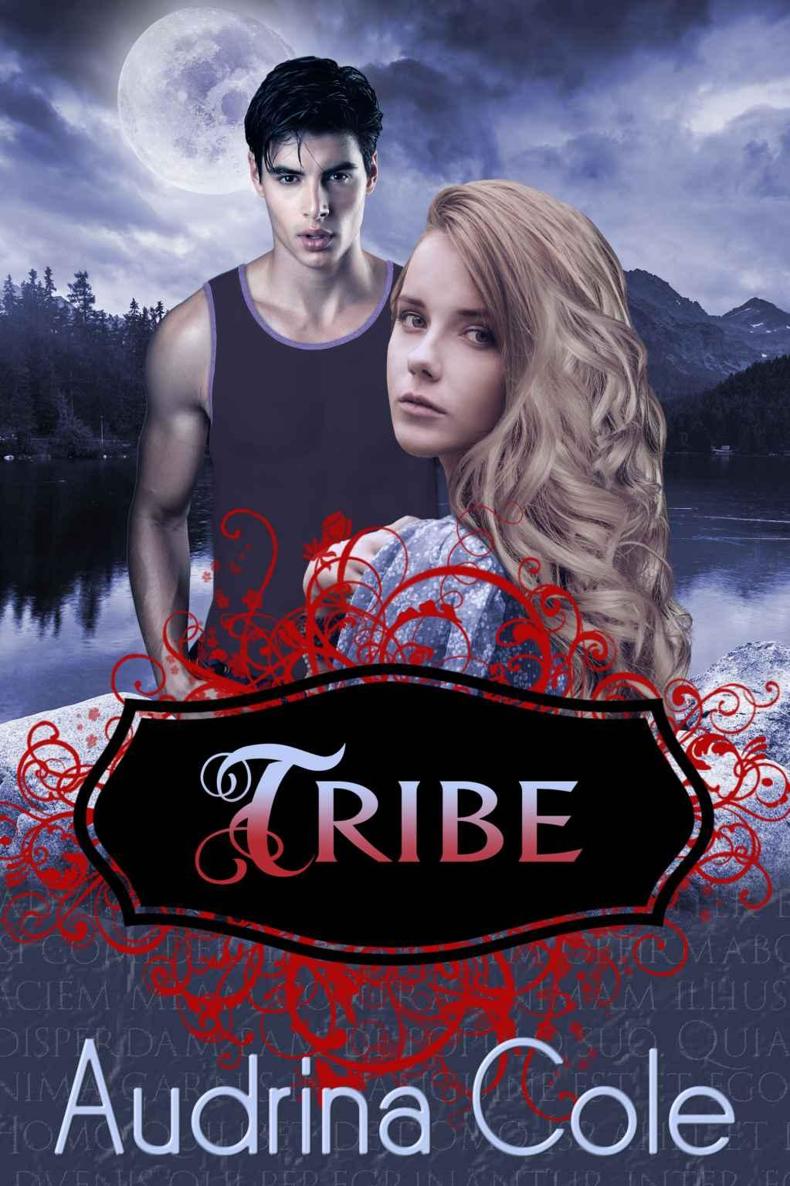 Tribe (Tribe 1) by Audrina Cole