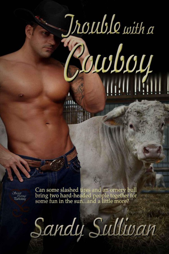 Trouble With a Cowboy by Sullivan, Sandy