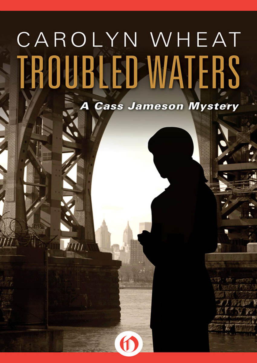 Troubled Waters by Carolyn Wheat