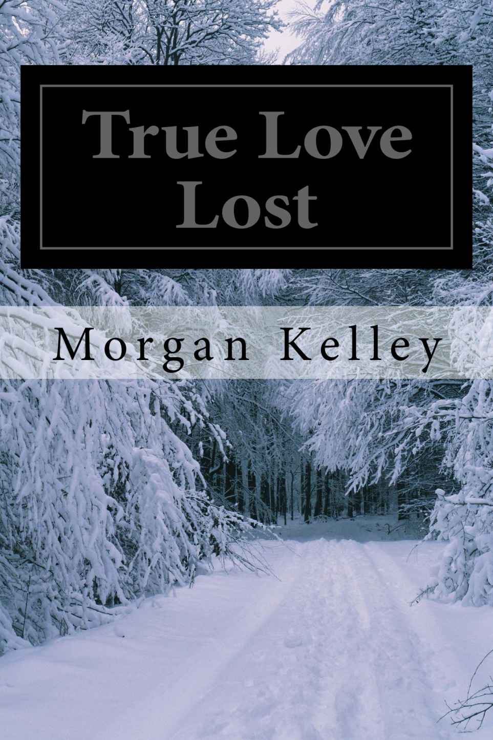 True Love Lost (An FBI Romance Thriller (book 3)) by Kelley, Morgan