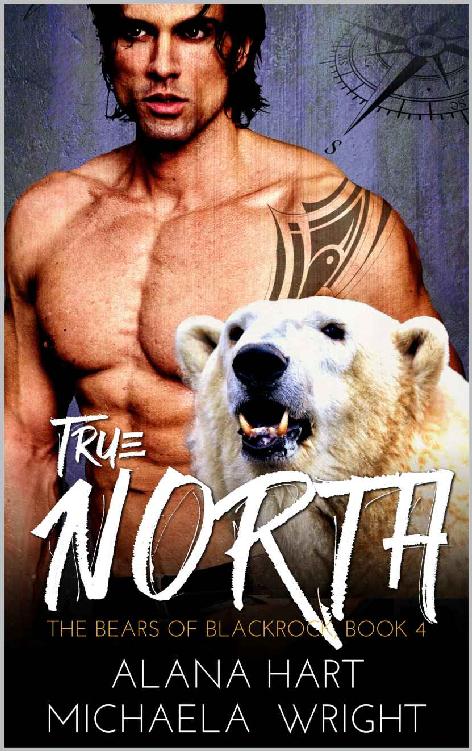 True North (The Bears of Blackrock Book 4)