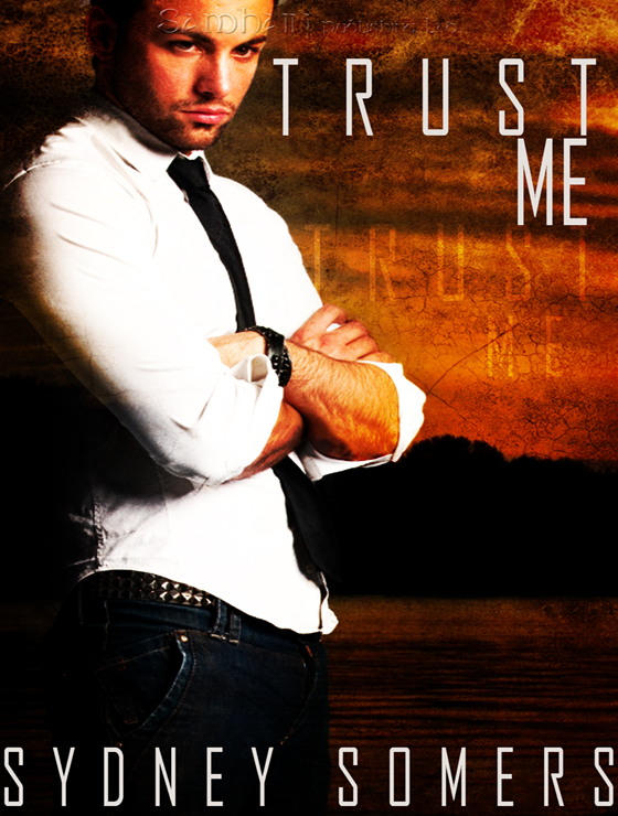 Trust Me: The Lassiter Group, Book 1 (2010) by Sydney Somers