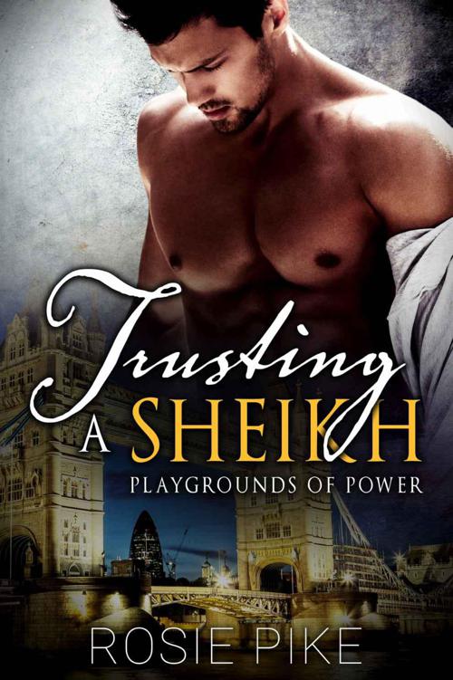 Trusting A Sheikh (Playgrounds of Power 1) by Rosie Pike