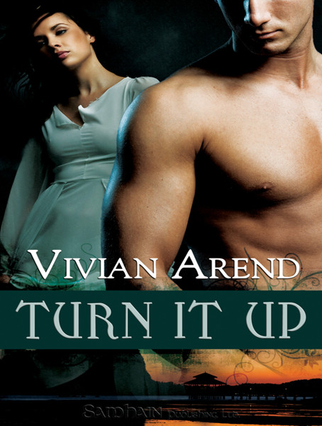 Turn It Up by Arend, Vivian