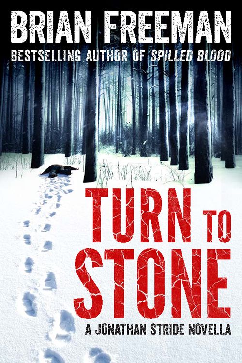 Turn to Stone by Freeman, Brian