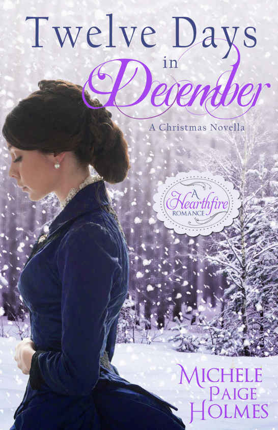 Twelve Days in December: A Christmas Novella by Michele Paige Holmes