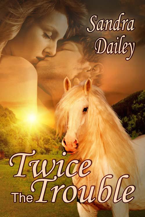 Twice the Trouble by Dailey, Sandra