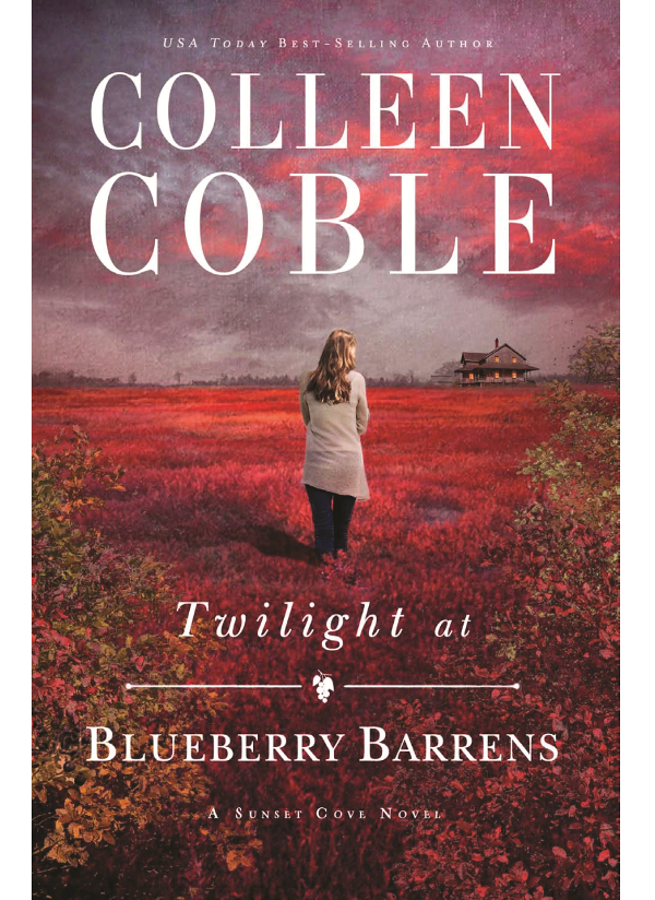 Twilight at Blueberry Barrens (2016)