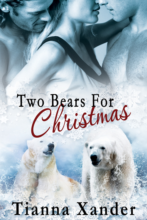 Two Bears For Christmas by Tianna Xander