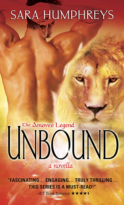 Unbound (2014) by Sara  Humphreys