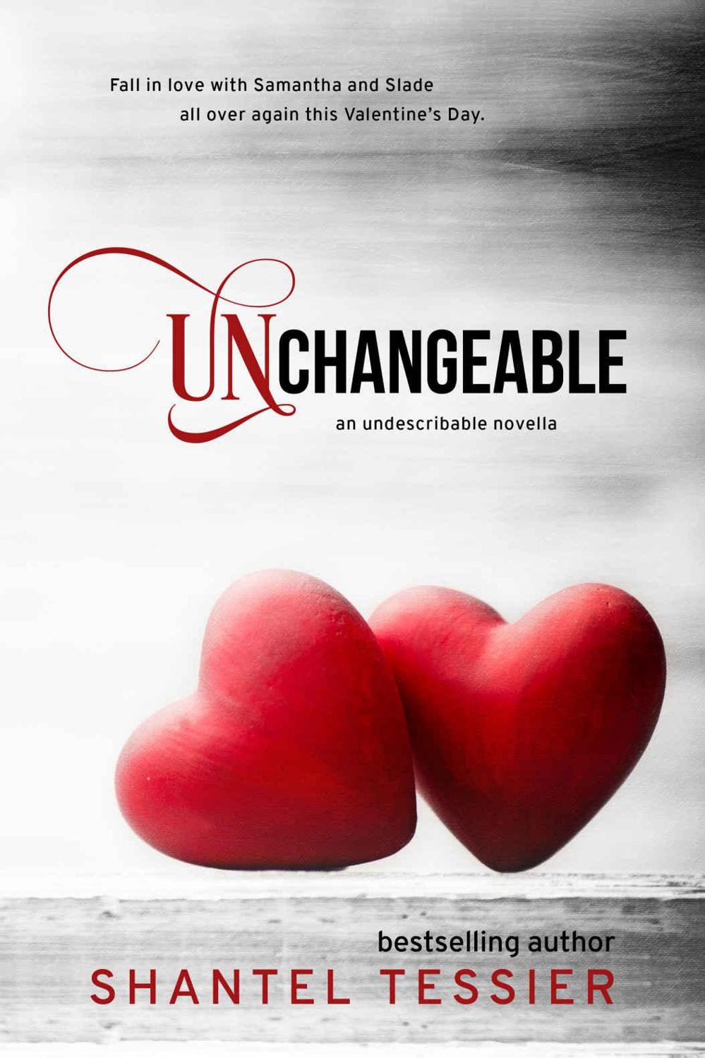 Unchangeable (Undescribable Book 4)