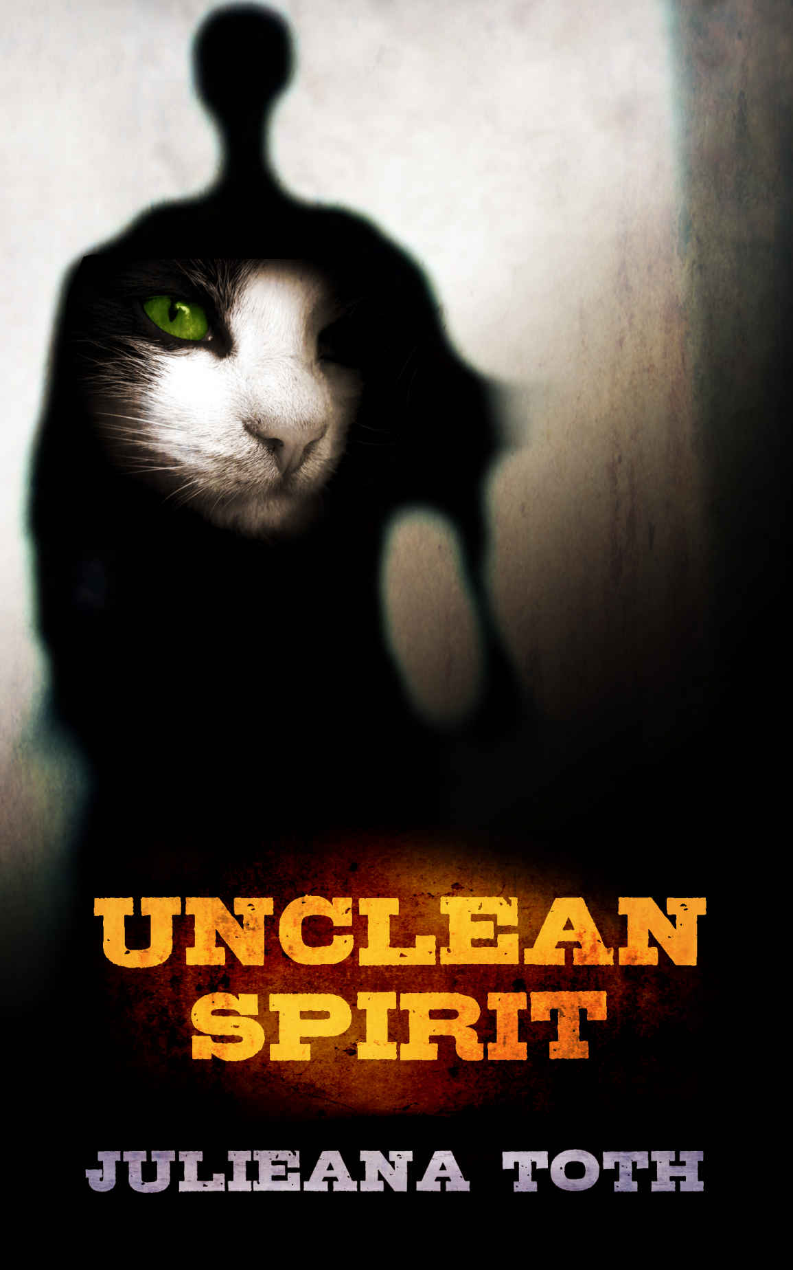 Unclean Spirit by Julieana Toth