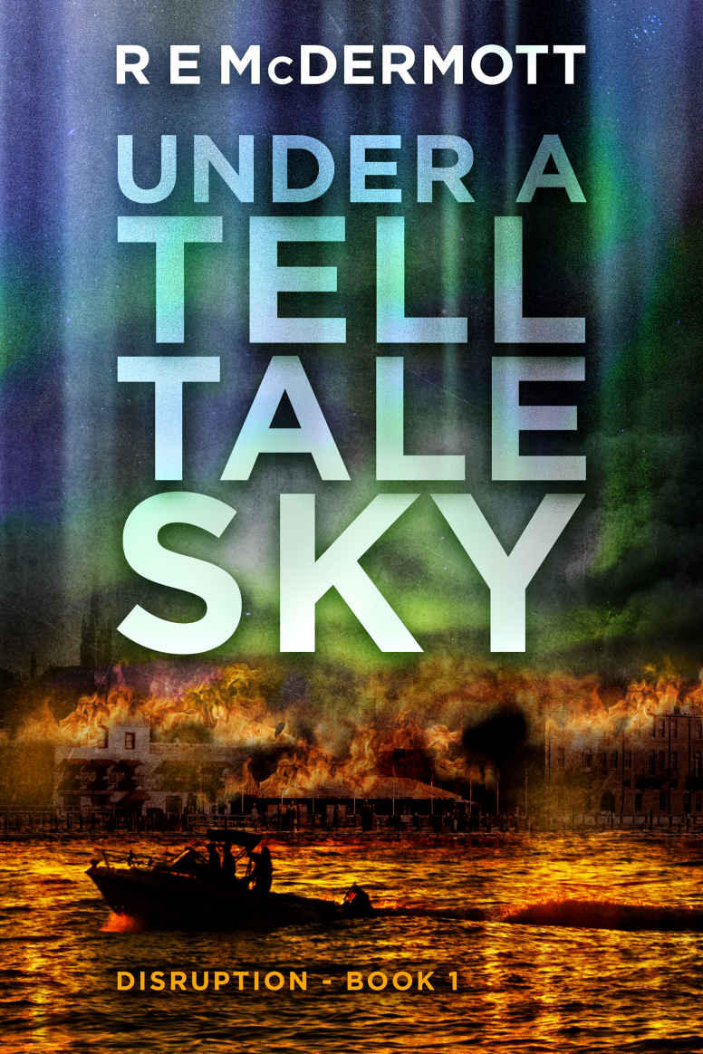 Under a Tell-Tale Sky: Disruption - Book 1 by R.E. McDermott