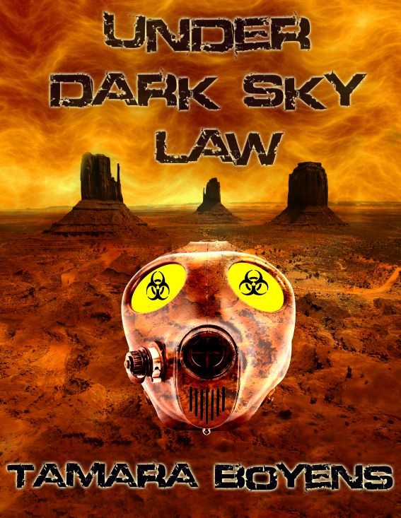 Under Dark Sky Law by Tamara Boyens