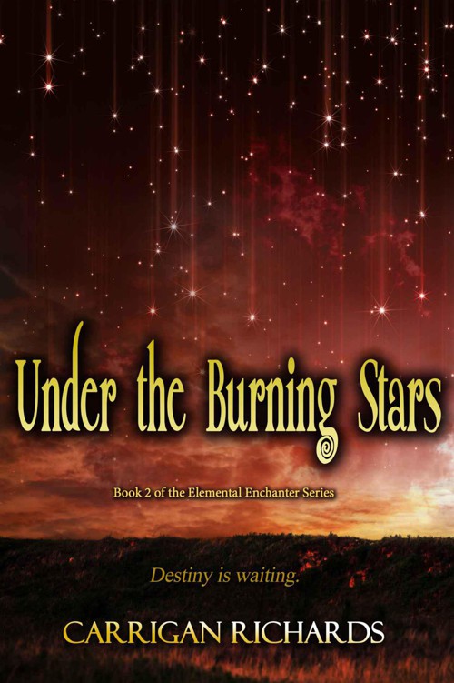 Under the Burning Stars by Carrigan Richards