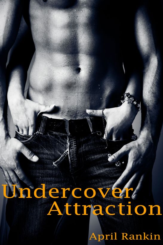 Undercover Attraction by April Rankin