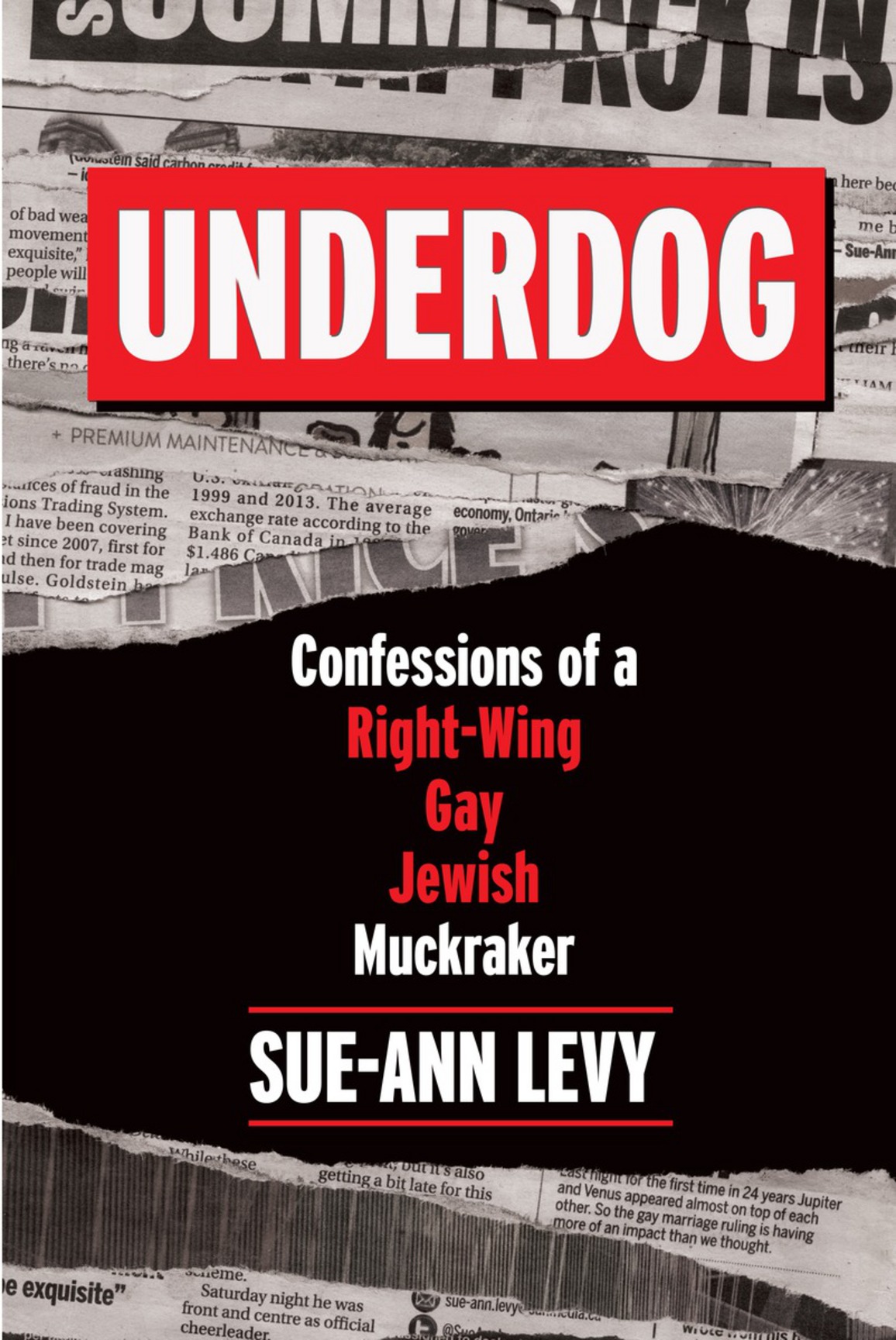 Underdog (2016) by Sue-Ann Levy