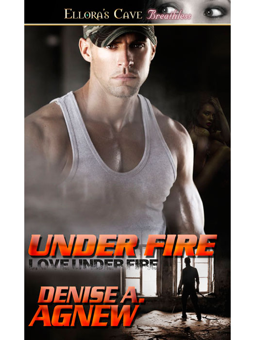 UnderFire (2013) by Denise A. Agnew