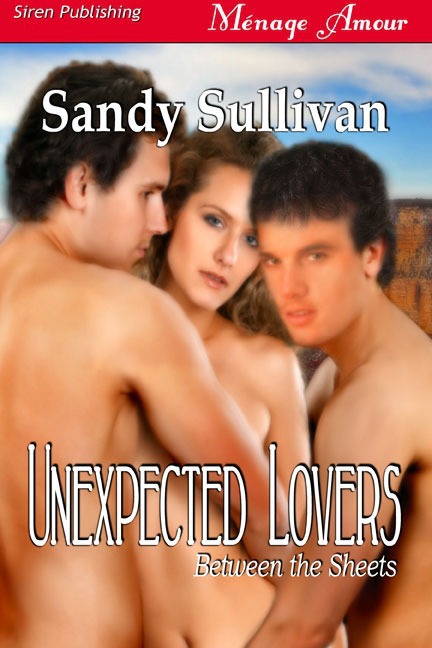 Unexpected Lovers by Sandy Sullivan