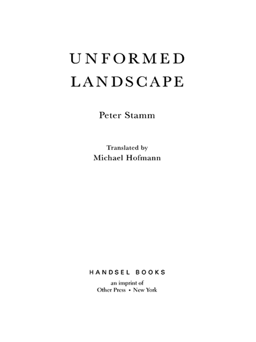 Unformed Landscape (2004) by Peter Stamm