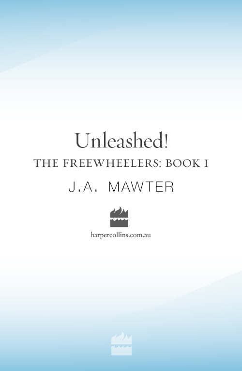 Unleashed! by J A Mawter