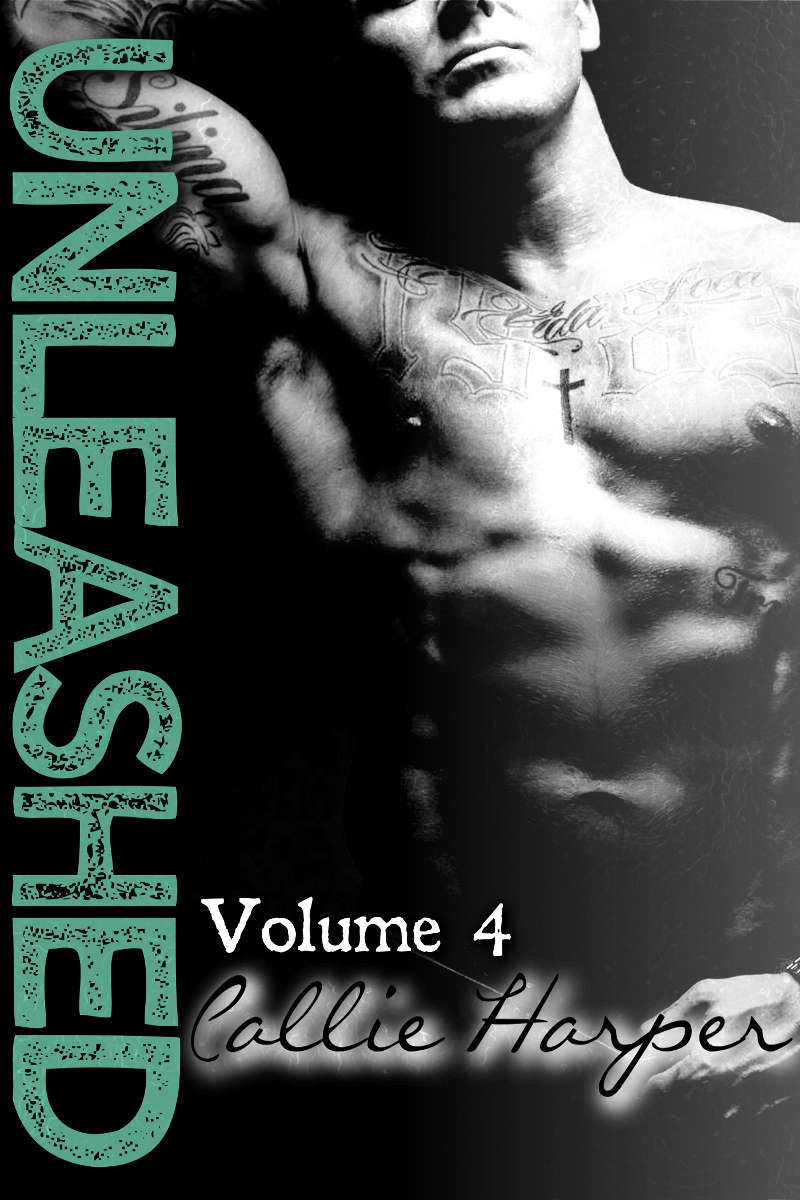 Unleashed #4 by Callie Harper