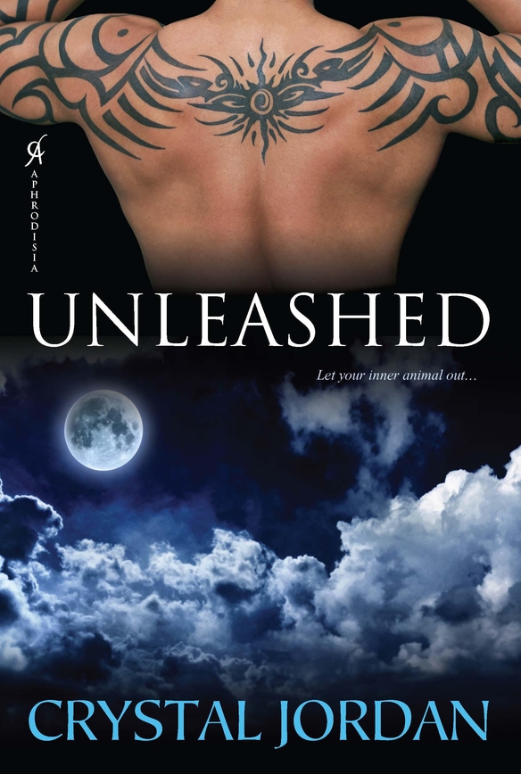 Unleashed by Crystal Jordan