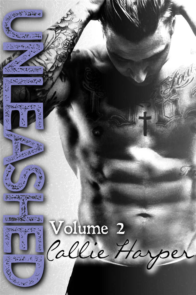 Unleashed: Volume 2 (Unleashed #2)