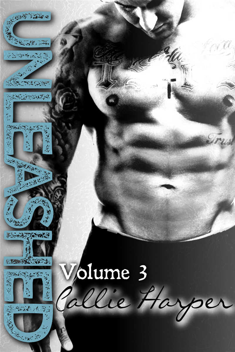 Unleashed: Volume 3 (Unleashed #3)