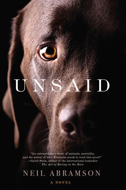 Unsaid: A Novel by Neil Abramson