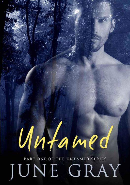 Untamed Vol. 1 (Untamed #1) by June Gray