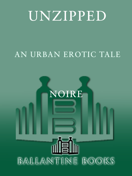 Unzipped: An Urban Erotic Tale (2010) by Noire