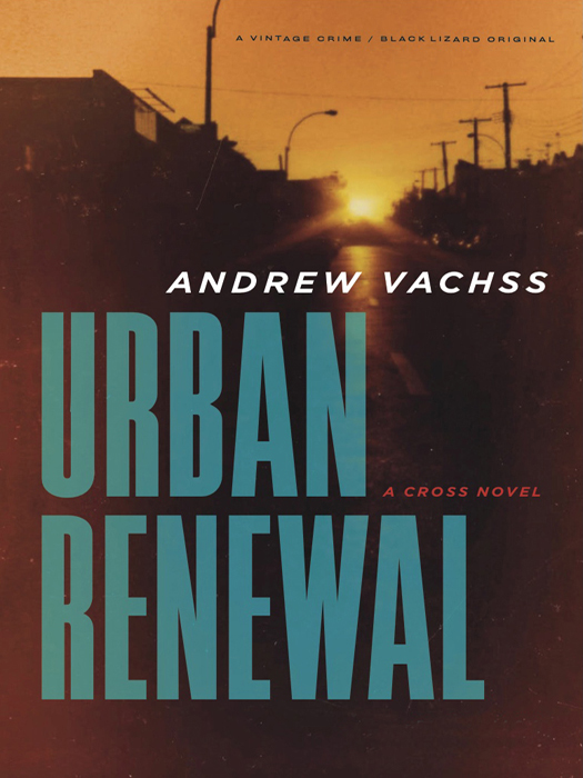Urban Renewal by Andrew Vachss
