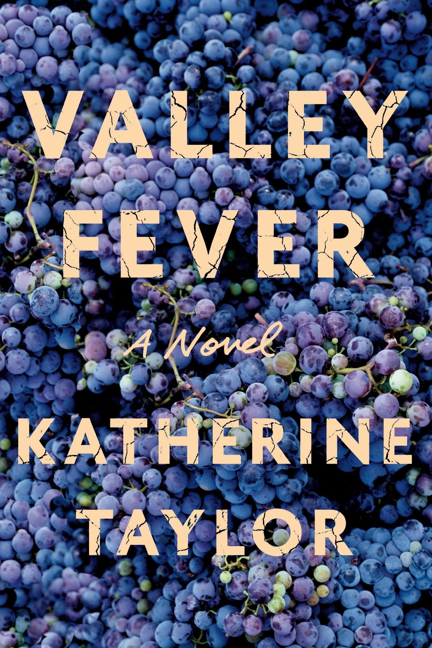 Valley Fever by Katherine Taylor