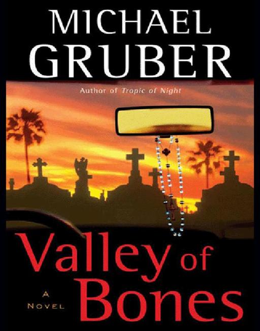 Valley of Bones by Michael Gruber