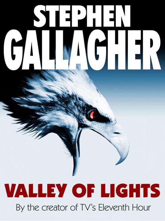 Valley of Lights by Gallagher, Stephen